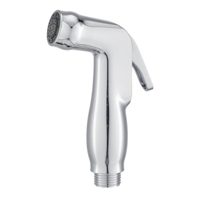 Spruzzatore per bidet di lusso per WC