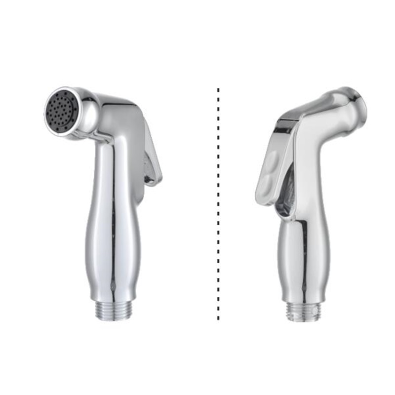 Spruzzatore per bidet di lusso per WC