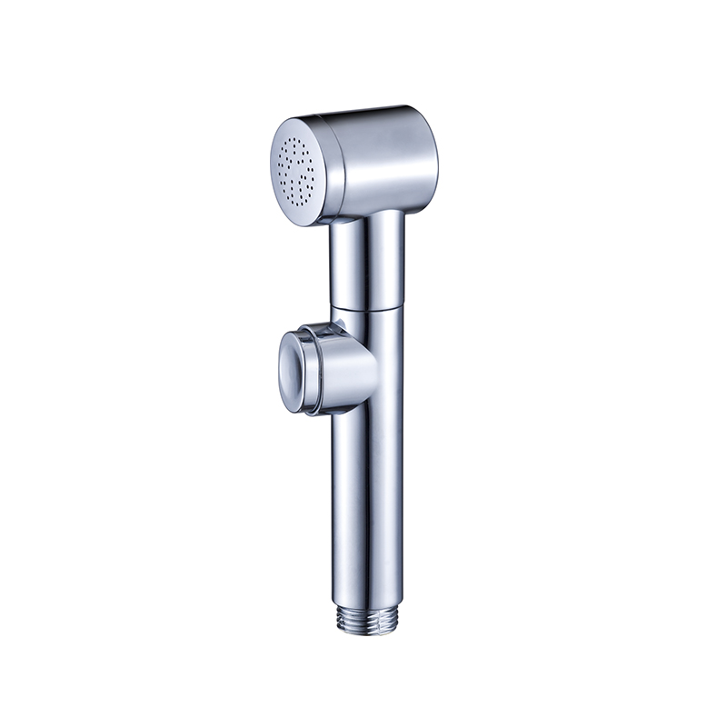 Spruzzatore per bidet ad acqua calda a spinta per WC