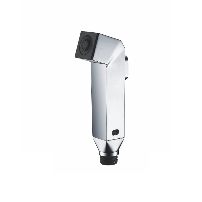 Spruzzatore portatile per WC per bidet