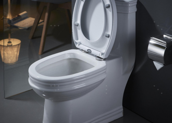 Come risolvere il problema della mancanza di aspirazione nel WC